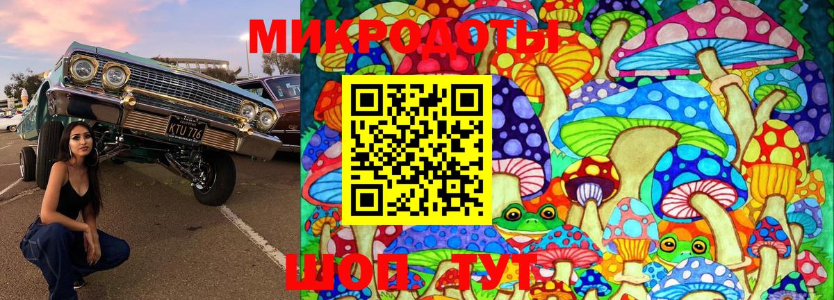 Камышлов  Галлюциногенные грибы Cubensis  Вход с VPN  Галлюциногенные грибы Cubensis 